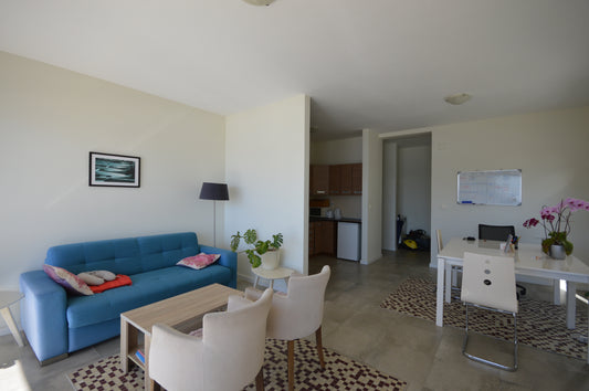 holiday home apartment with pool in bijela