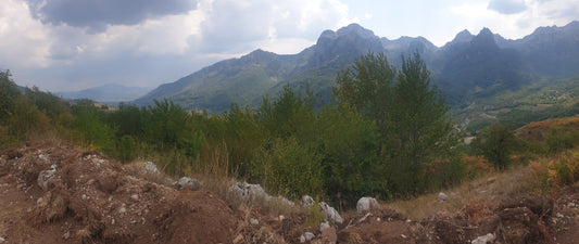 URGENT SALE: Large Plot Of Land In Lipovo, Kolasin Montenegro