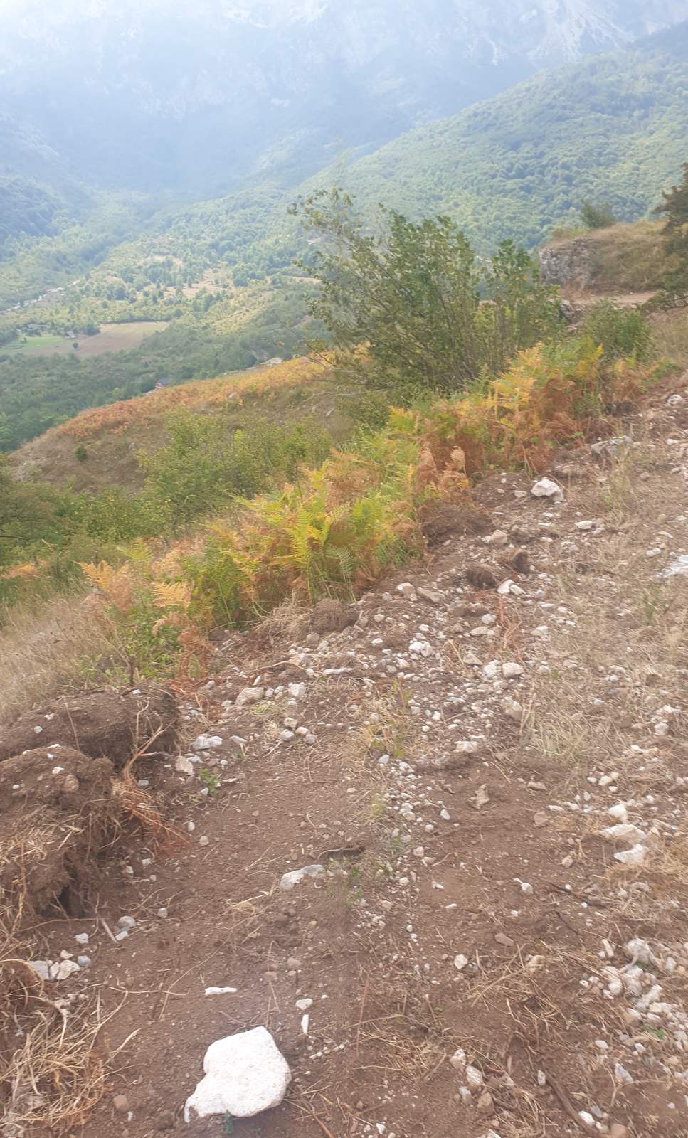 URGENT SALE: Large Plot Of Land In Lipovo, Kolasin
