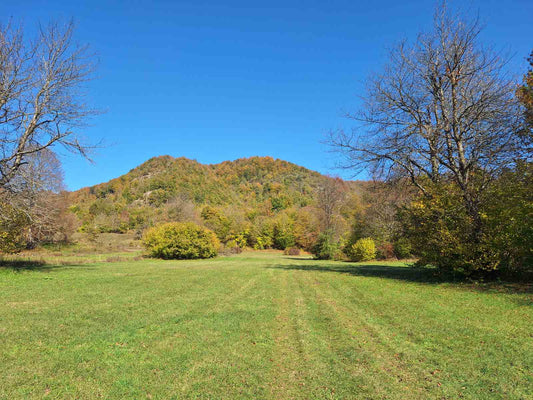 Large Plot Of Land for sale In Lipovo, Kolasin Montenegro