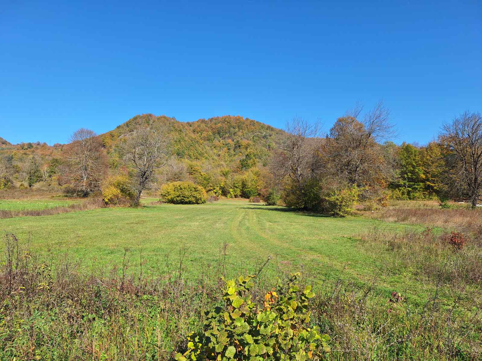 Large Plot Of Land for sale In Lipovo, Kolasin Montenegro