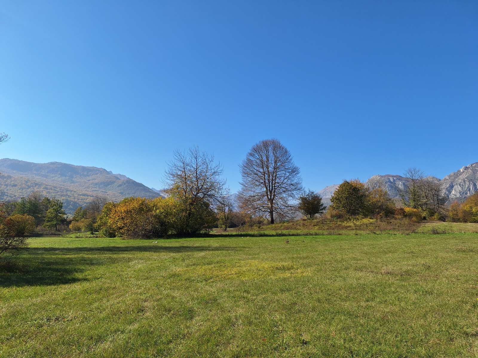 Large Plot Of Land for sale In Lipovo, Kolasin Montenegro