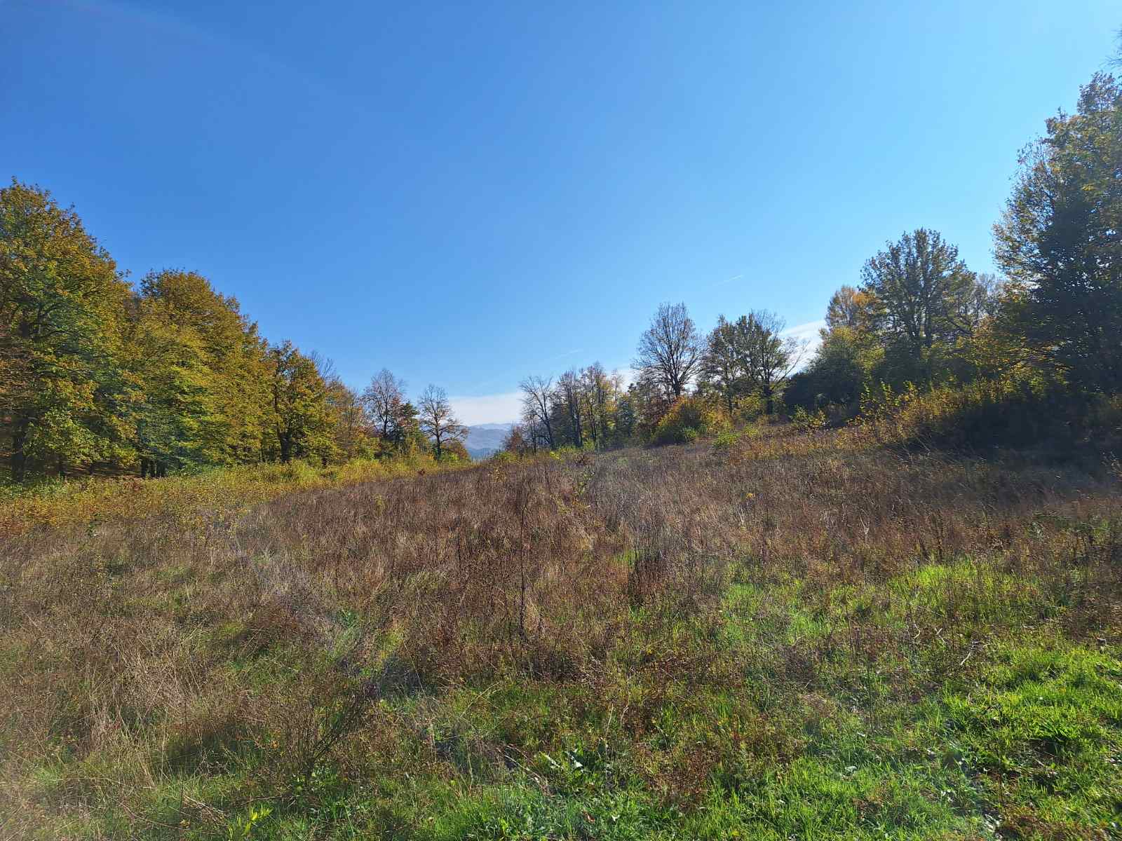 Large Plot Of Land for sale In Lipovo, Kolasin Montenegro