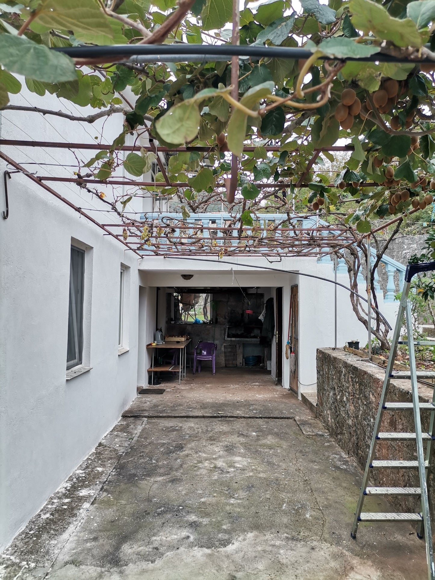 Lovely House in Budva With Garden And Sea View