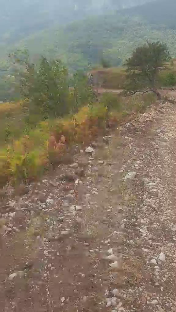 URGENT SALE: Large Plot Of Land In Lipovo, Kolasin Montenegro
