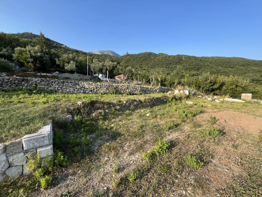 Urbanised Plot With Sea View And Olive Trees In Igalo