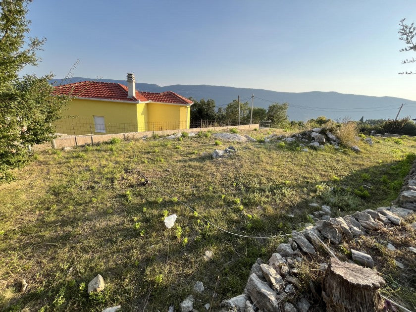 Urbanised Plot With Sea View And Olive Trees In Igalo