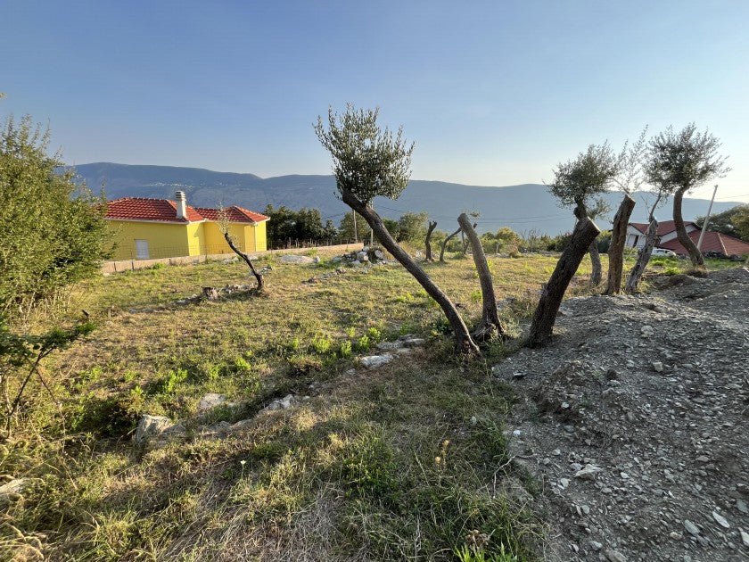 Urbanised Plot With Sea View And Olive Trees In Igalo