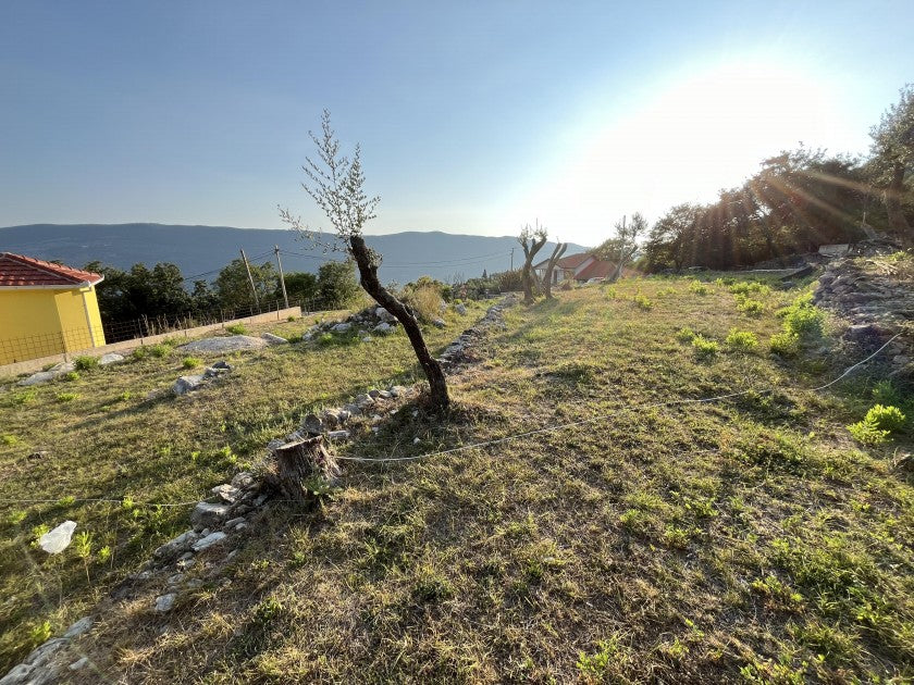 Urbanised Plot With Sea View And Olive Trees In Igalo