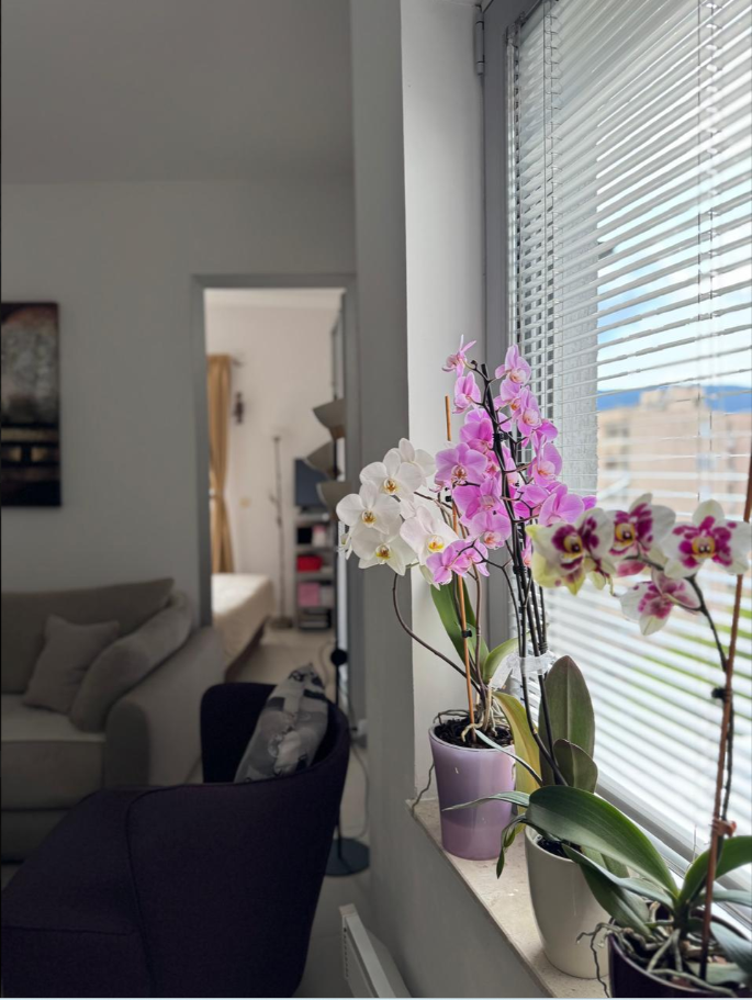 1 Bedroom Apartment With Sea View In Topla