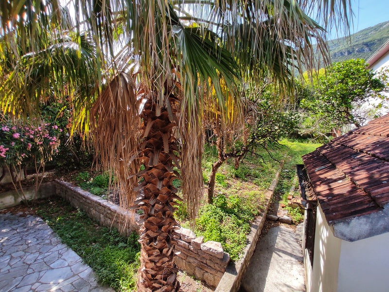 Unique Investment Opportunity - Duplex With Garden A Few Metres From Sea In Djenovici