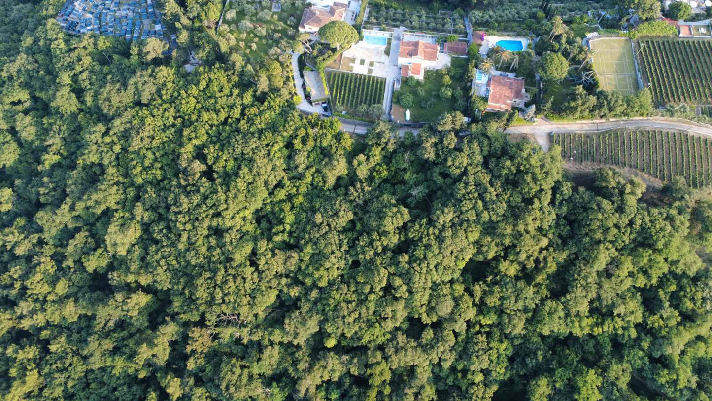 Large Plot Of Land In Savina Just 800m From The Sea