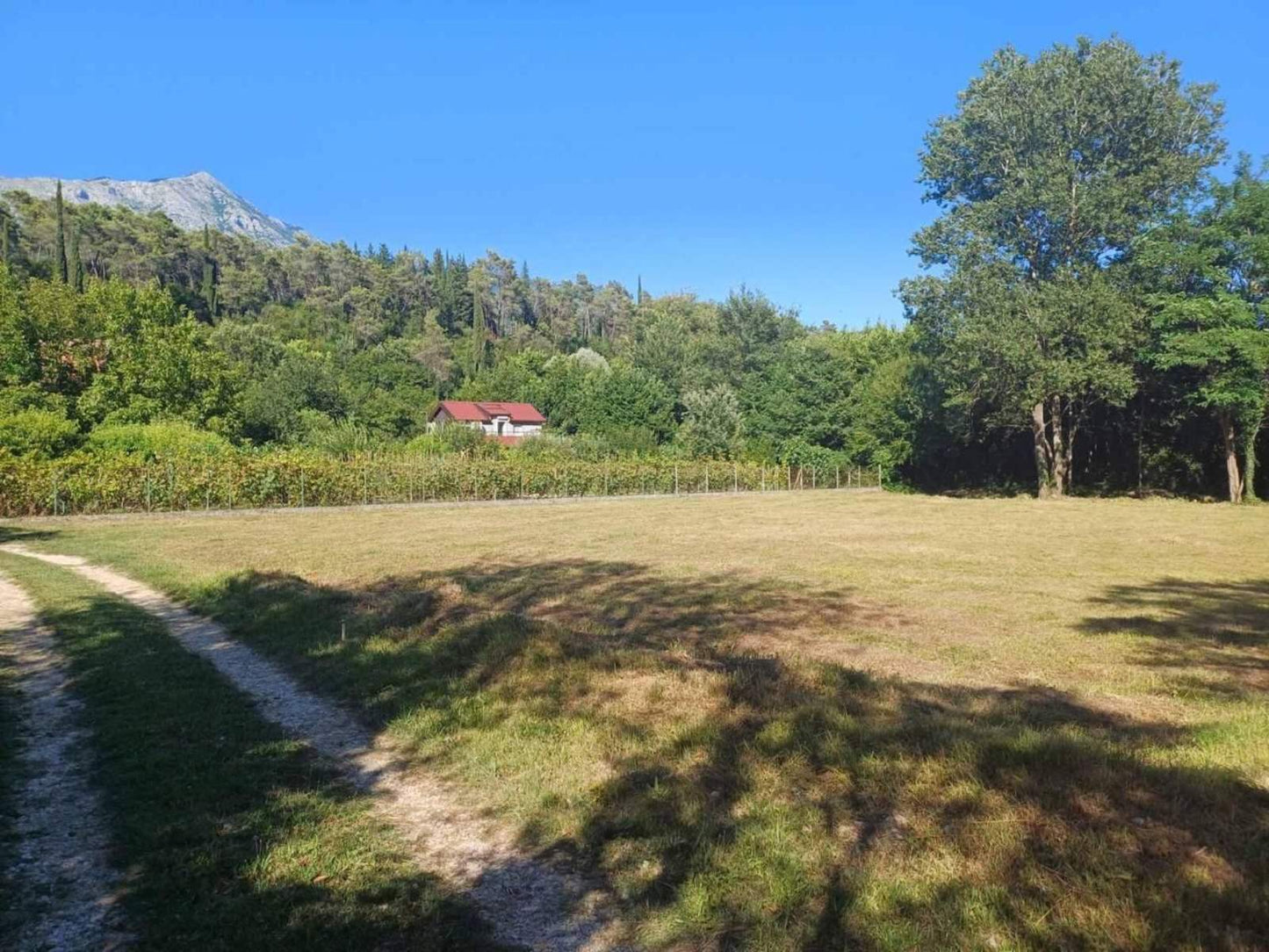 Large Plot In Sutorina Ready For Construction