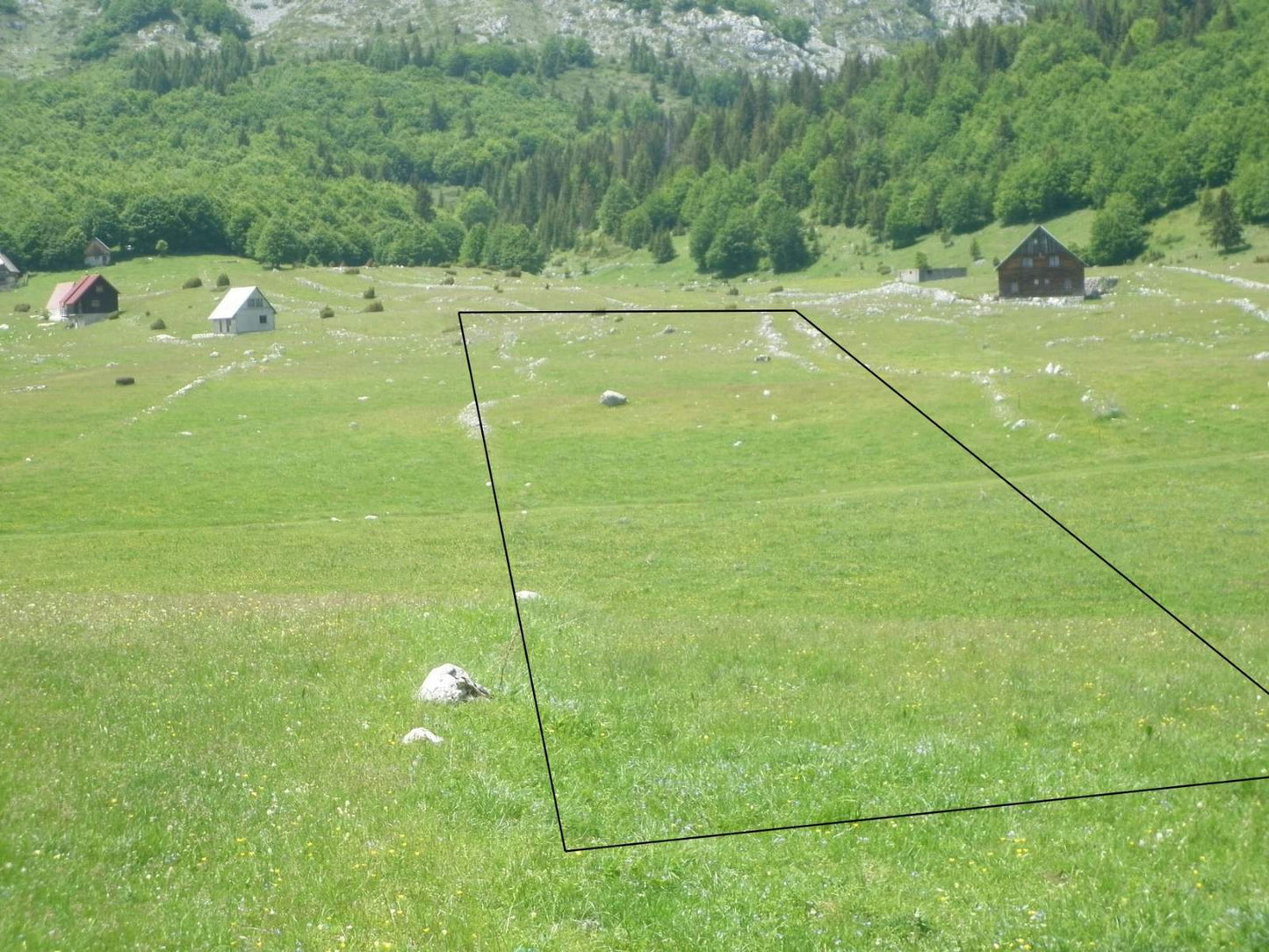 Plot of Land For Development Next To Ski Slopes In Zabljak