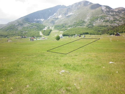 Plot of Land For Development Next To Ski Slopes In Zabljak