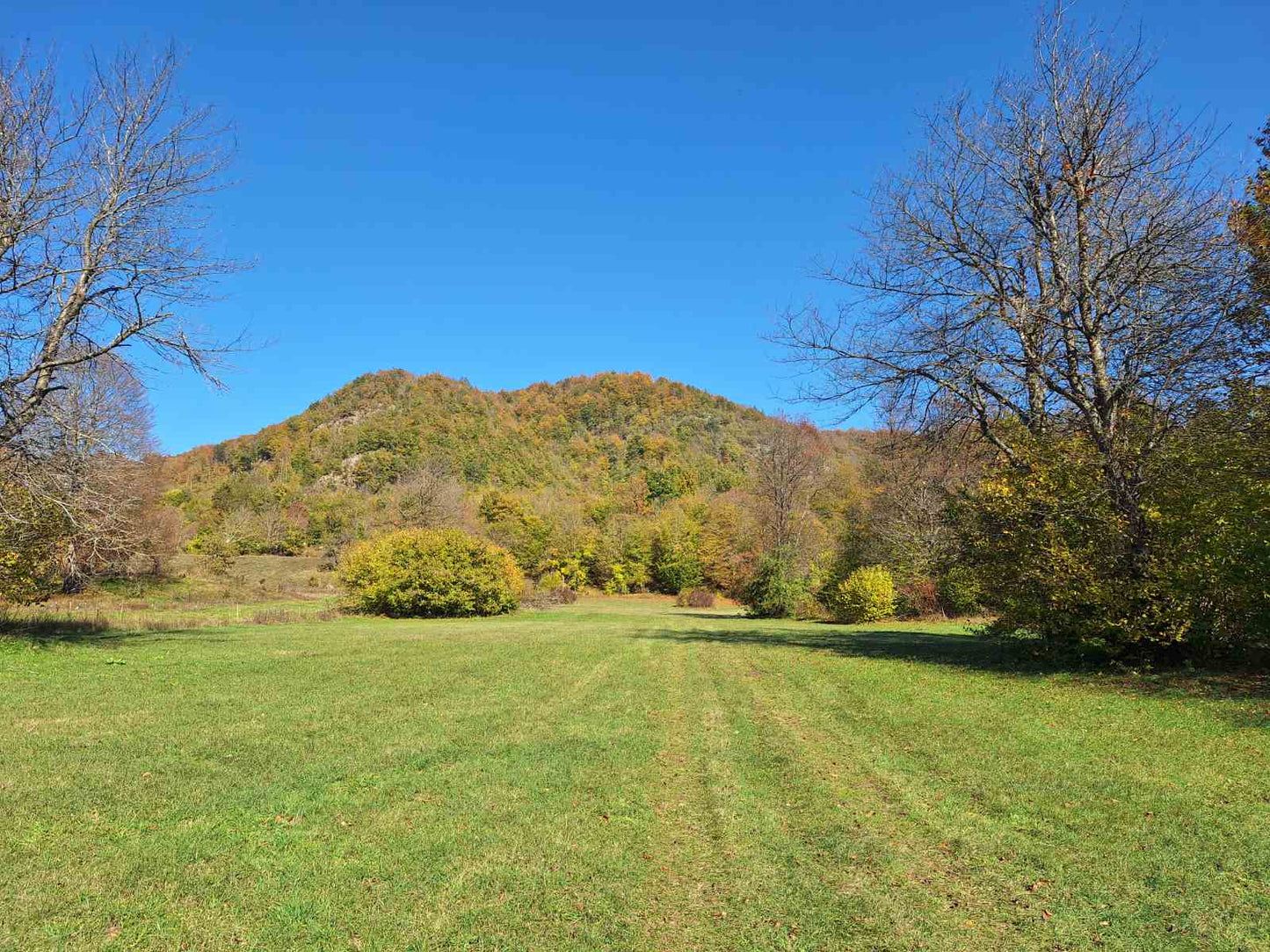 Large Plot Of Land In Lipovo, Kolasin