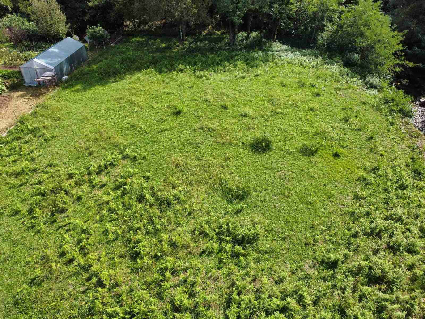 Large Plot In Sutorina Ready For Construction