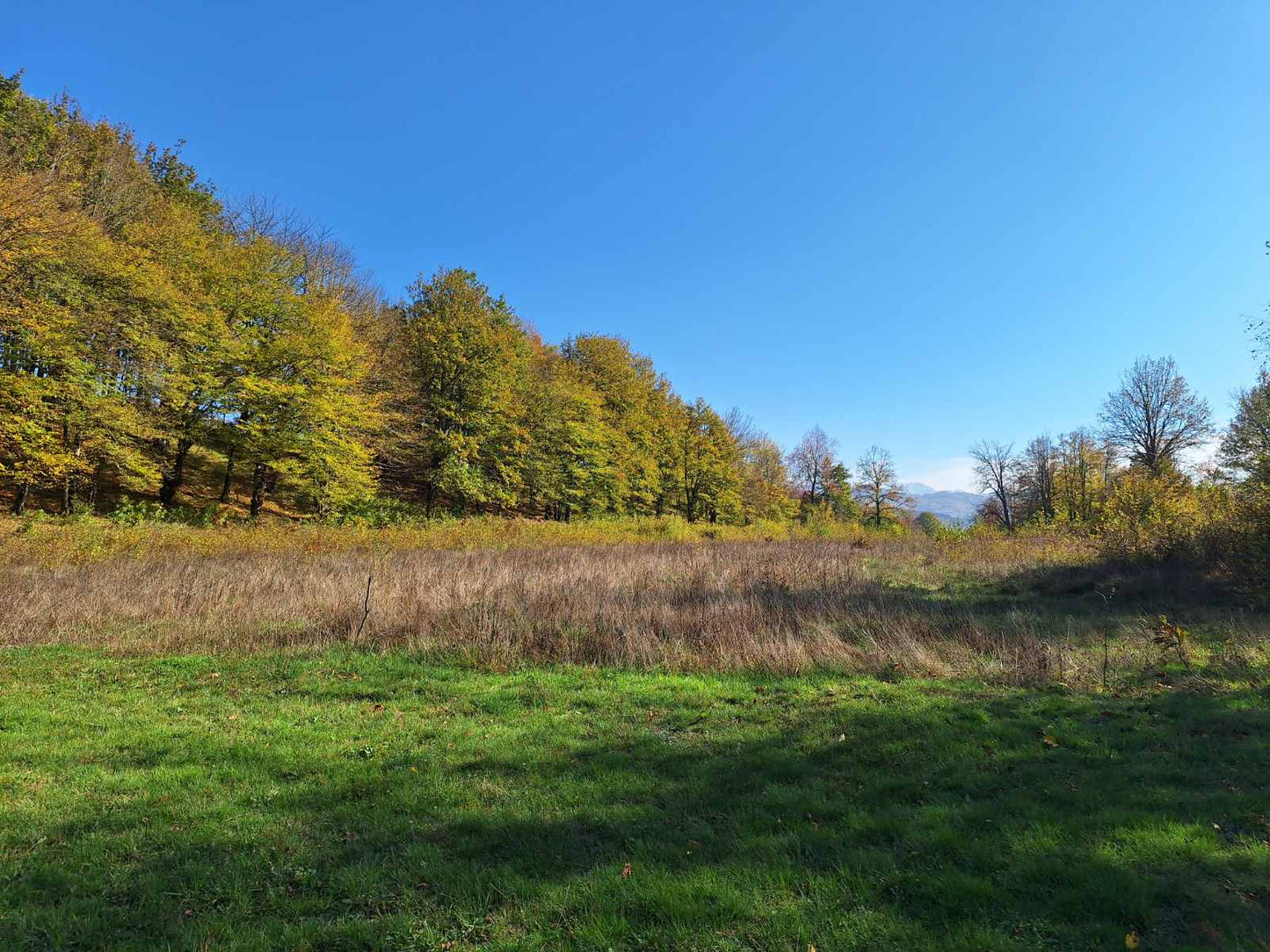 Large Plot Of Land In Lipovo, Kolasin