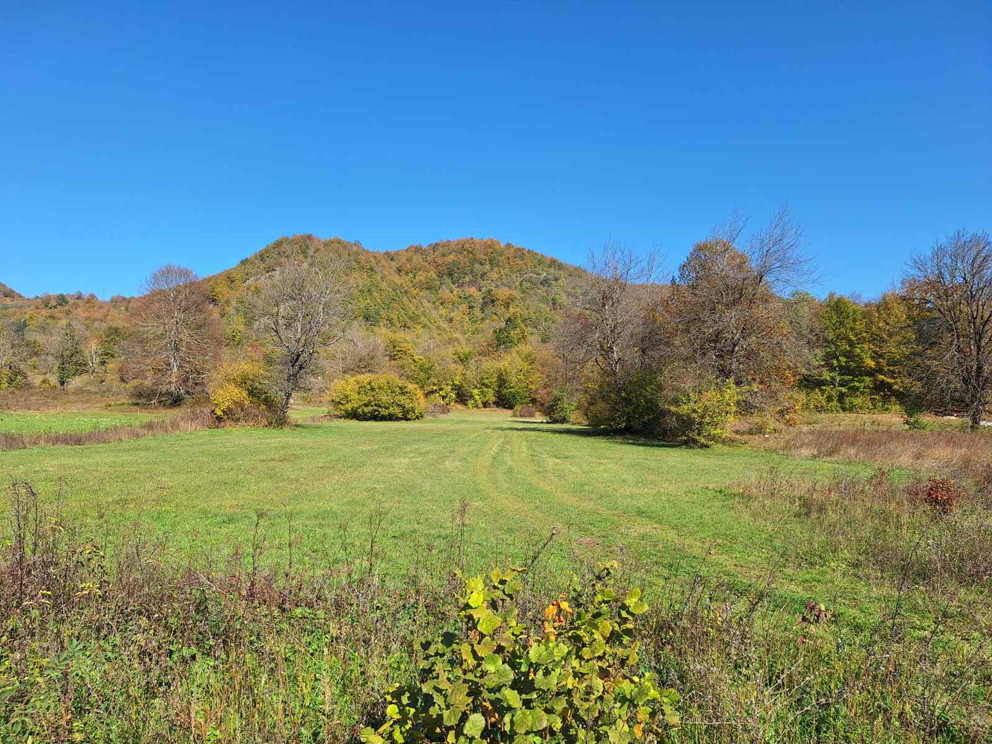 Large Plot Of Land In Lipovo, Kolasin