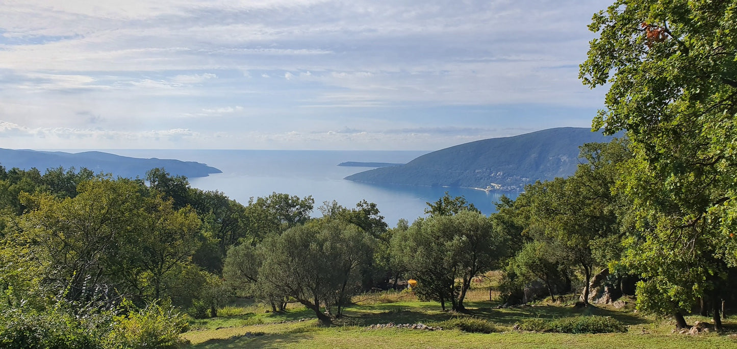 Urbanised Plot With Sea View In Trebesin, Herceg Novi