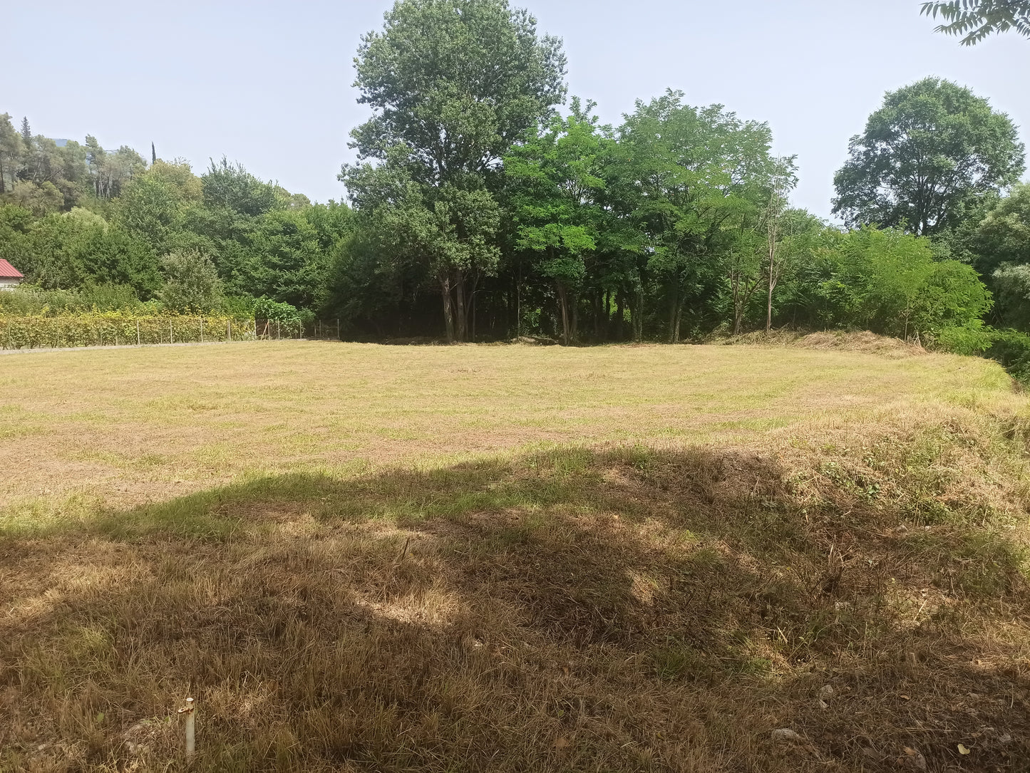 Plot Of Land In Sutorina For Residential Or Commercial Use