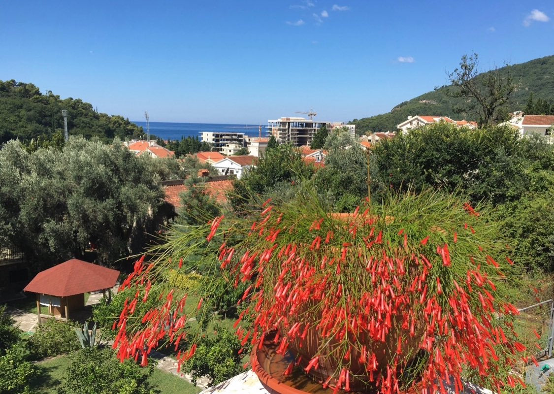 Sea View 2 Bedroom Apartment With Garden In Petrovac